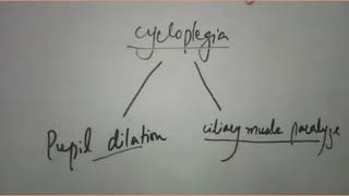 cycloplegic refraction procedure [upl. by Iror478]