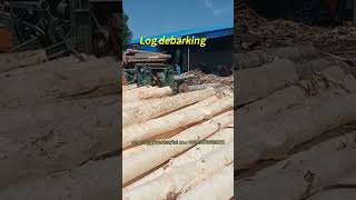 Wood debarking machine works efficiently helping lumber mills to process logs quickly debarker [upl. by Aseena]