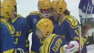 HockeyVM 1989  Det bästa från Tre Kronor [upl. by Anirahs680]