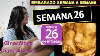 SEMANA 26 EMBARAZO SEMANA A SEMANA POR GINECOLOGA DIANA ALVAREZ [upl. by Cogen]