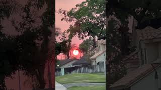 Redlands Ca sunset shortsvideo [upl. by Ahsinrac]