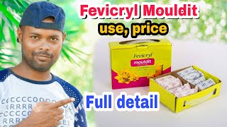 What is Fevicryl Mouldit clay uses price where to buy Full detail Govind Arkhvanshi [upl. by Bertrando]