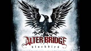 Alter Bridge  Coming Home  Lyrics [upl. by Theadora]