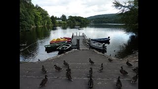 Loch Faskally and Pitlochry fish ladder walk Perthshire Scotland UK [upl. by Mitchiner135]