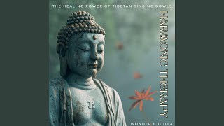 528 Hz Healing Tibetan Sounds [upl. by Katerina350]