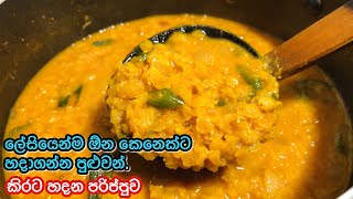 කිරි රසට පරිප්පුව  Parippu Curry  Dhal Curry  Parippu Kirata [upl. by Gonnella]