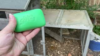 Remedies to Keep Flies Out of Your Chicken Run [upl. by Iel]