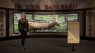 Jarbidge  In Your Backyard [upl. by Dnomzed]