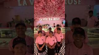 Hyderabads Luxurious Cafe amp Bistro  La Vie En Rose Cafe  Street Food India [upl. by Alica432]