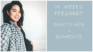 35 Weeks Pregnant  Changes amp Updates  Belly Shot w Baby 2 [upl. by Adnomar]