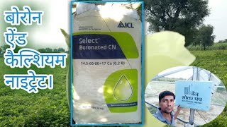 Boronated Calcium Nitrate कब दे।shorts mlgodara [upl. by Aeniah]