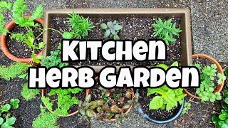 DIY Herb Garden For Beginners  DIY Kitchen Herb Garden [upl. by Aicirtac]