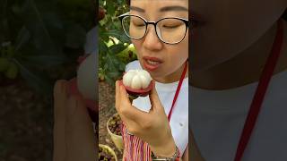 Enjoy Beautiful Mangosteen Fruits 🍒 shorts fruit satisfying [upl. by Slosberg]