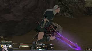 Lineage II Reborn x 1 Solo Exp SpS [upl. by Biddick]