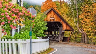 Himmlische Chormusik mit Waldvogelgesang 🌲 Zauberwälder [upl. by Novahs]