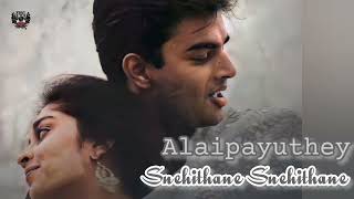 Snehithane SnehithaneAlaipayutheytamilsongs alaipayuthey madhavan shalini [upl. by Drucie]