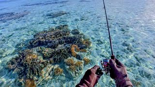 Shallow Flats Fishing With Micro Lure  Maldives Island Fishing Paradise [upl. by Caputto]