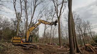 Land Clearing Series Part 2  Destruction Day 1 [upl. by Ahcrop762]