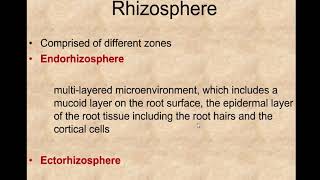 Rhizosphere [upl. by Burack]