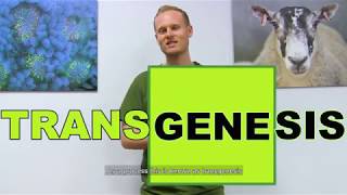 What is transgenesis all about [upl. by Pare]