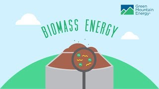 Renewable Energy 101 How Does Biomass Energy Work [upl. by Gavin82]