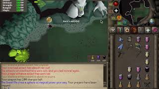 Flawless Olm kill with full budget gear OSRS [upl. by Hoffmann]