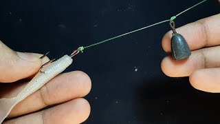 Feeder tackle for shallow predatory fish sea bass mangrofe jak [upl. by Megdal251]