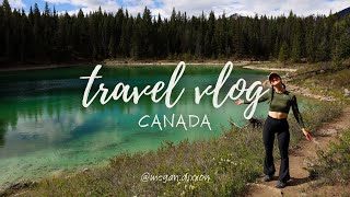 TRAVEL VLOG 10  CANADA Exploring the ICEFIELDS PARKWAY amp Jasper travel canada travelvlog [upl. by Shrier402]