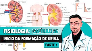 Fisiologia  Sistema Urinário Anatomia Funcional e Formação da Urina pelo Rim Capítulo 26 GUYTON [upl. by Fillbert790]