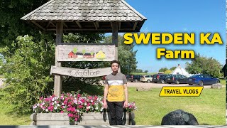 Sweden 🇸🇪 Ka Farm Dera Urdu amp Hindi [upl. by Belden]