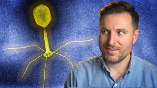 The History of Phage Therapy [upl. by Neelrac]