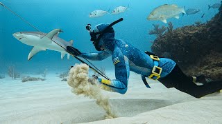 Spearfishing in Sharky Waters KNIFE v SHARK [upl. by Tterrag684]