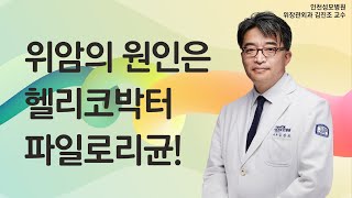 위암 원인은 헬리코박터 파일로리균 식도암은 음주 및 흡연 인천성모병원 10분하와유 [upl. by Atsirtal14]