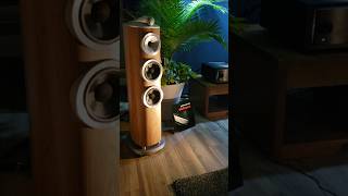 BampW 804 D4 driven by Marantz  Toronto Audiofest 2024 [upl. by Liborio]