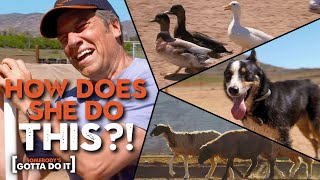 Mike Rowe Goes Head to Head with a SHEEPDOG to WRANGLE Sheep  Somebodys Gotta Do It [upl. by Ymled]