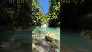 Check out incredible MagAgo Falls on the island of Bohol Philippines 🇵🇭 philippines bohol [upl. by Fasto]