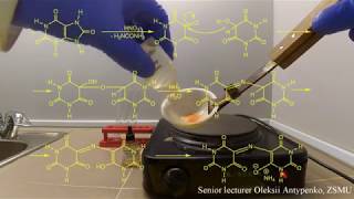 The identification of the uric acid The murexide test [upl. by Adyol]