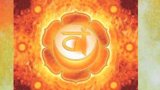 The Chakras Wheels of Life [upl. by Carce]