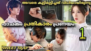 Sweet trap chinese drama malayalam explanation 1️⃣ 5 Star Chef vs Street Food Chef❤️🍜 MOVIEMANIA25 [upl. by O'Malley414]