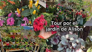 Me contrataron para organizar este bello jardín así lo dejé ♥️👌🪴videos [upl. by Nollid]