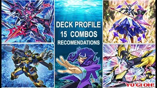 Shark Deck Profile  15 Combos Text in English  YuGiOh TCG [upl. by Bowers]