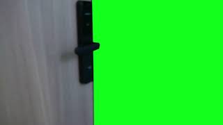 OPPEN DOOR GREEN SCREEN [upl. by Durston940]