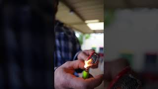 citrus peel fire lighter firelighters garden diy citrus fire lighter gardenhacks backyard [upl. by Sinoda]