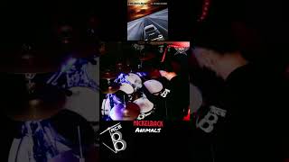 Animals  Nickelback  full video on my channel drumcover shorts [upl. by Alysia]