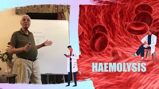 HAEMOLYSIS  DR HOSSAM MOWAFY PART 2 [upl. by Ahsiekan578]