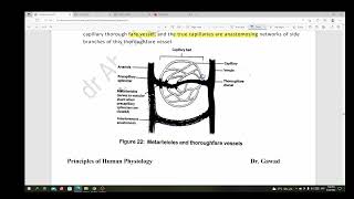 6CVS physiology  Blood flow regulation [upl. by Elin]