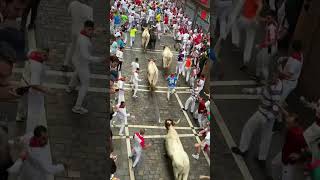 Let’s gooo Pamplona sanfermin pamplonada runningofthebulls spain sanfermines encierro [upl. by Airetnohs686]