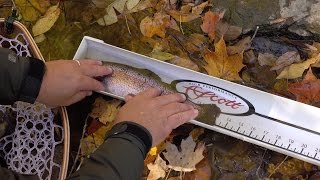 2015 NJ Flyfisherman of the Year [upl. by Hameerak]