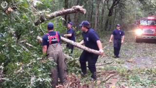 Clearing the road to Edisto Beach [upl. by Nogem501]