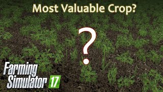 Farming Simulator 17  Most Valuable Crop Award [upl. by Ezra97]